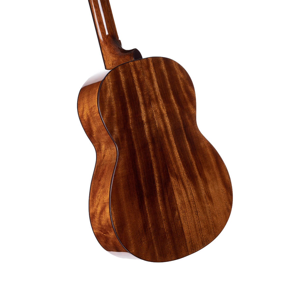 Cort AC200 OP - immagine 3