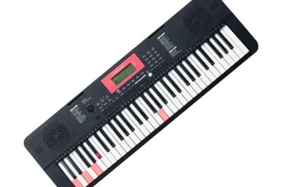 Medeli M221L