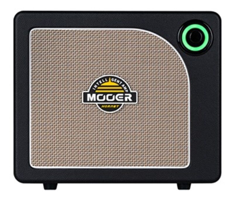 Ampli x Chitarra Mooer Hornet 15i