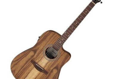 Elettroacustica Ibanez V40WSCE