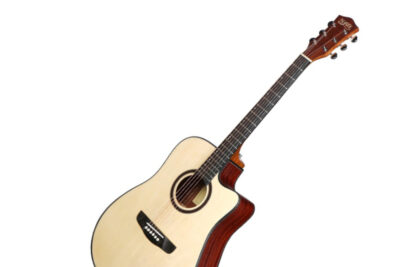 Elettroacustica Alysee A120-CE