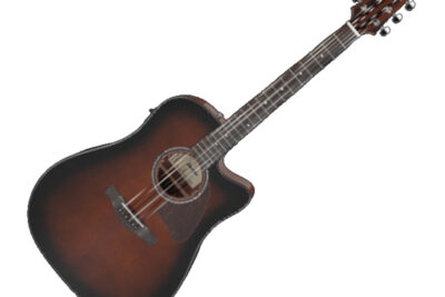Elettroacustica Ibanez AAD51CE