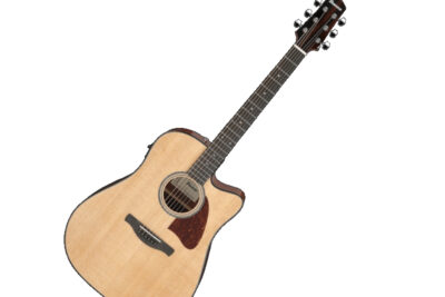 Elettroacustica Ibanez AAD51CE NT