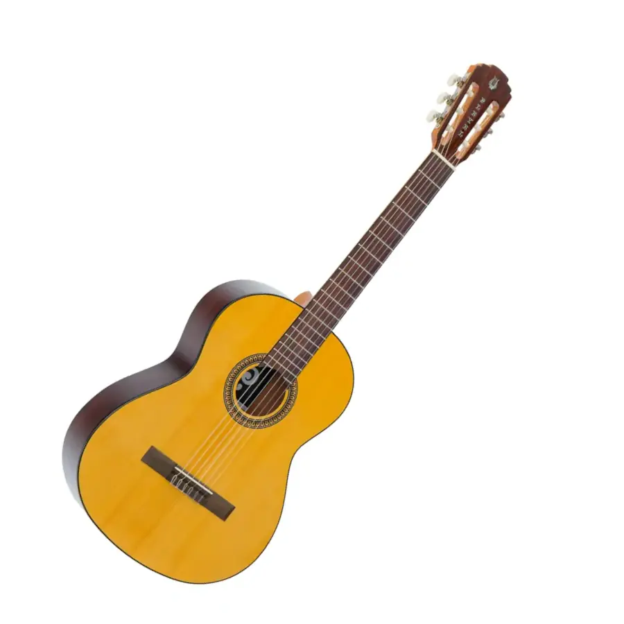Pleyel Etude P100